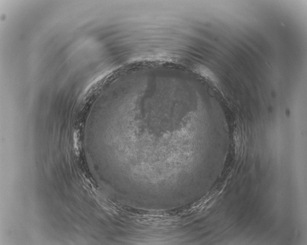 X0000056001064200508261744