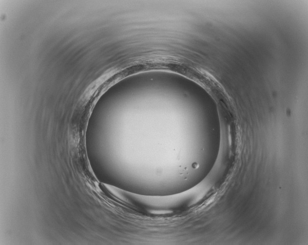 X0000056001065200508261744