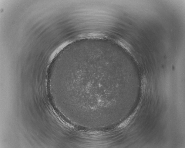 X0000056001066200508261744