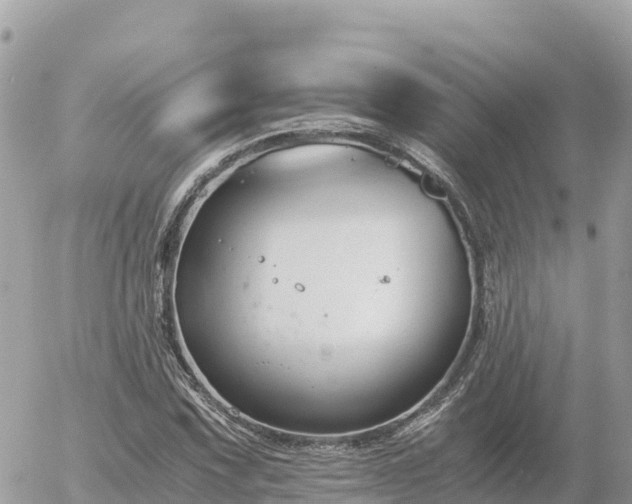 X0000056001067200508261744