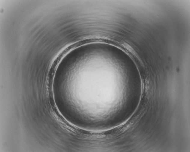 X0000056001068200508261744