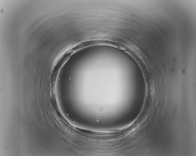 X0000056001069200508261744