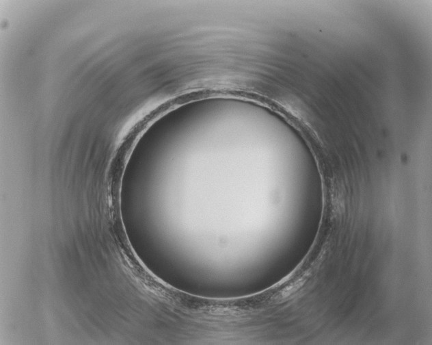 X0000056001070200508261744