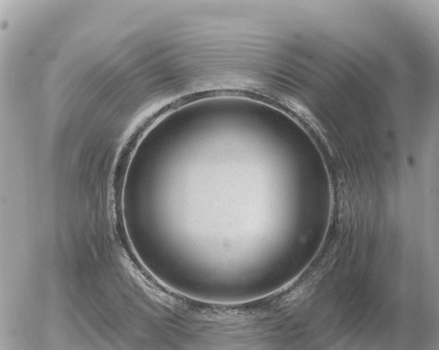 X0000056001072200508261744