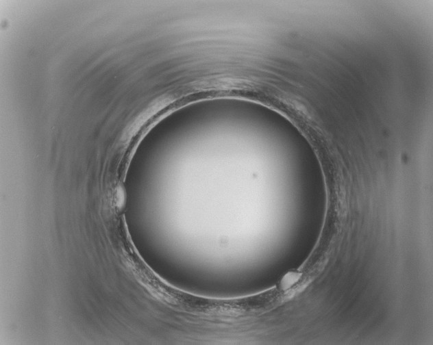 X0000056001073200508261744