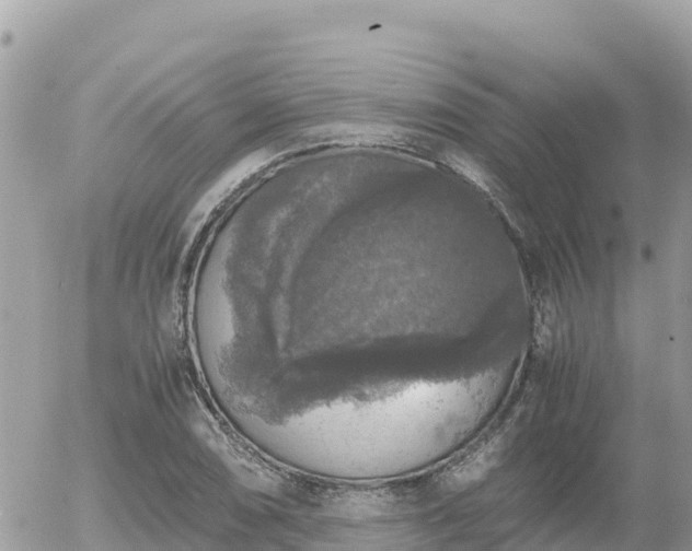 X0000056001074200508261744