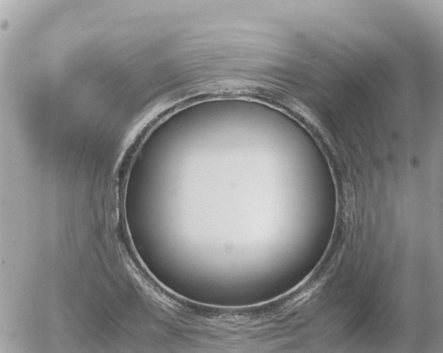 X0000056001075200508261744