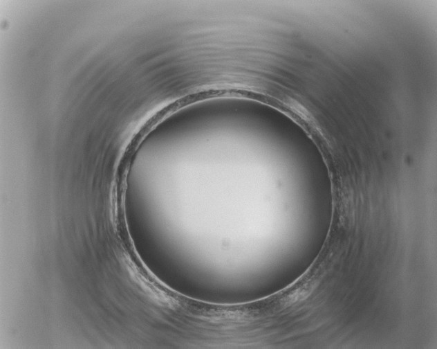 X0000056001076200508261744