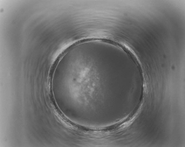 X0000056001077200508261744