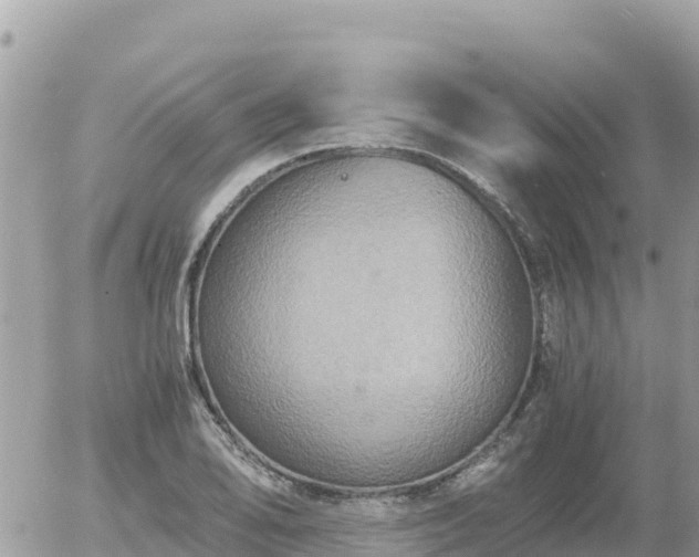 X0000056001078200508261744