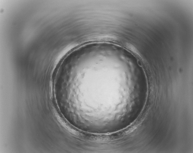 X0000056001079200508261744