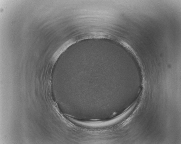 X0000056001081200508261744