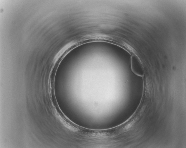 X0000056001082200508261744