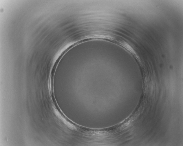 X0000056001084200508261744