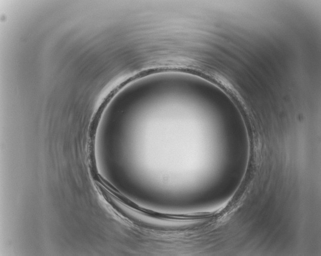 X0000056001085200508261744