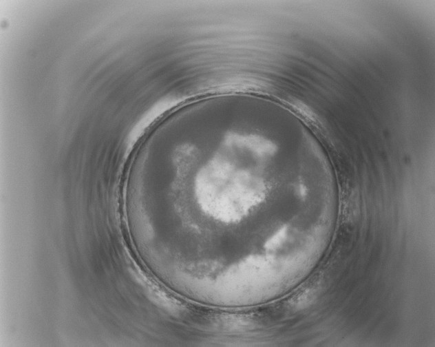 X0000056001086200508261744