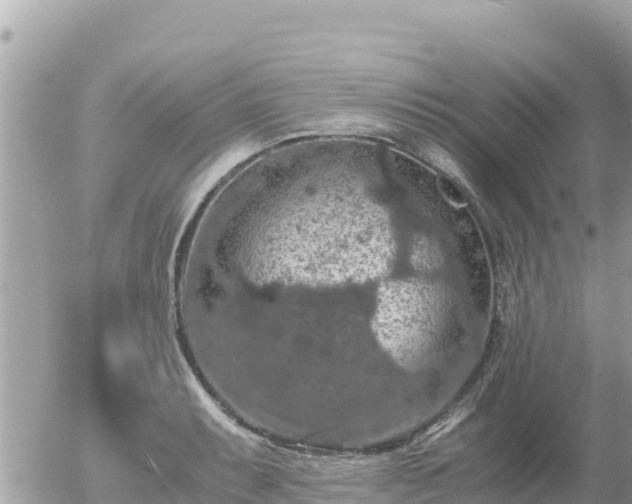 X0000056001087200508261743