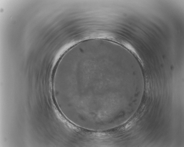 X0000056001088200508261743