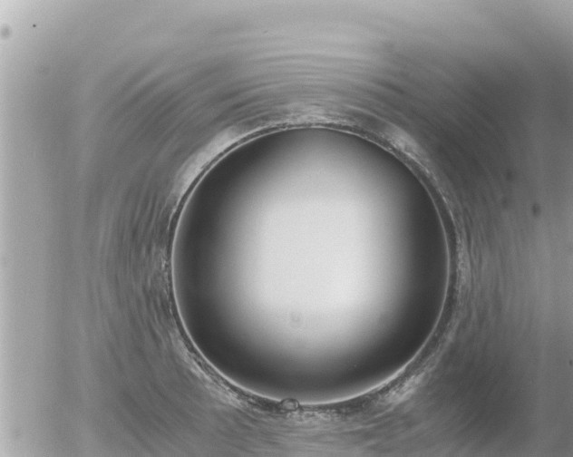 X0000056001089200508261743