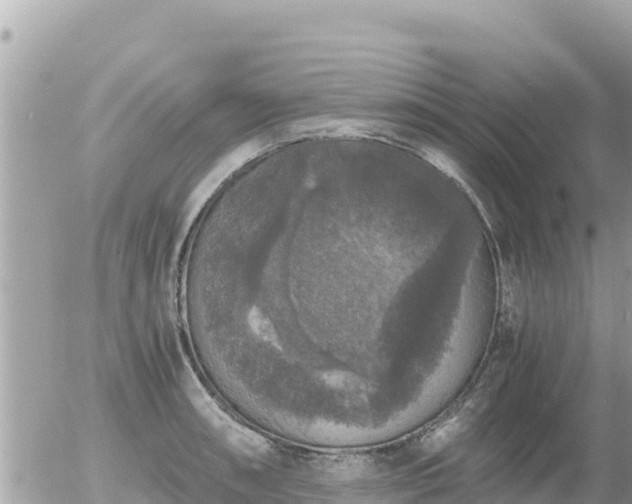 X0000056001090200508261743