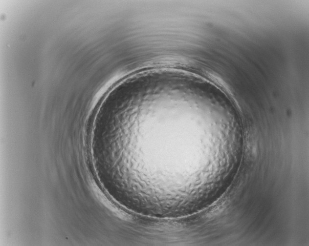 X0000056001091200508261743