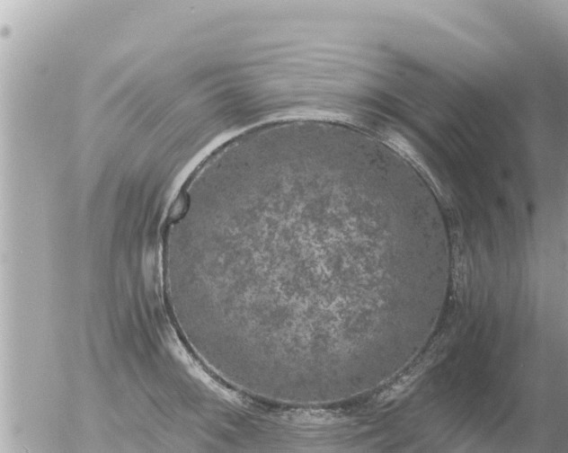 X0000056001092200508261743