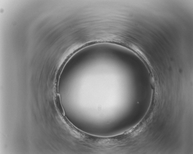 X0000056001093200508261743