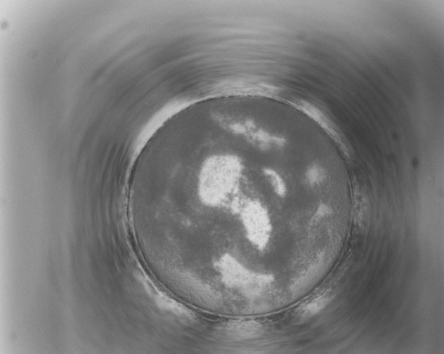 X0000056001094200508261743