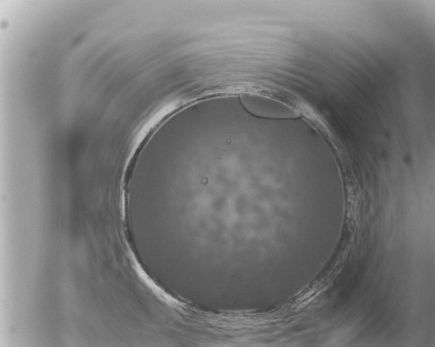 X0000056001095200508261743