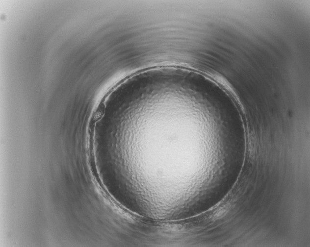 X0000056001096200508261743