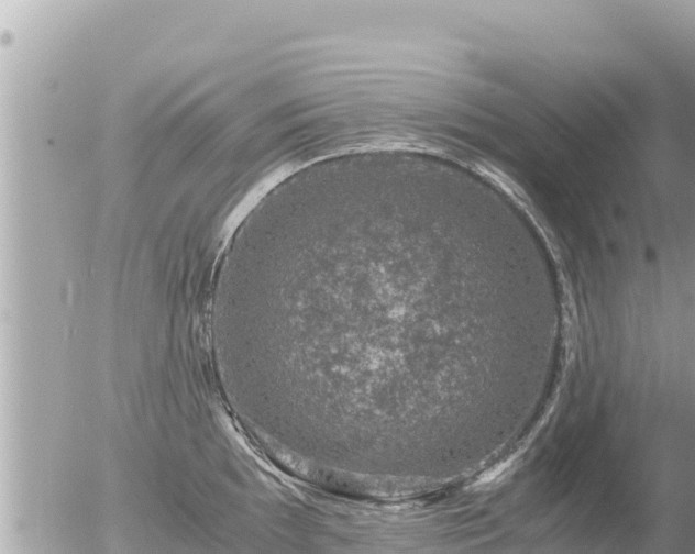 X0000056001097200508261743