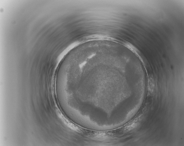 X0000056001098200508261743