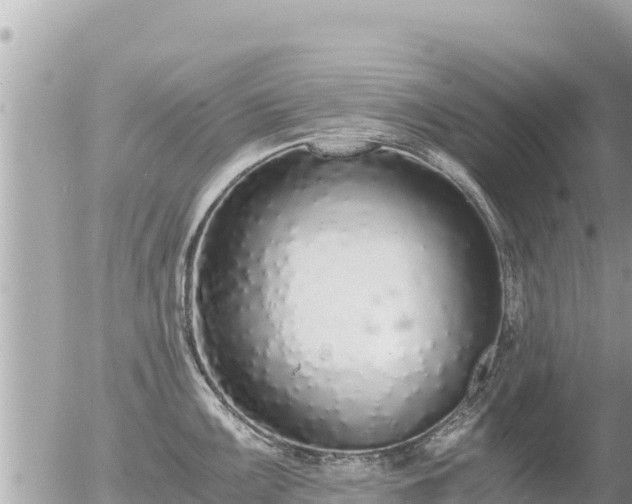 X0000056001099200508261743