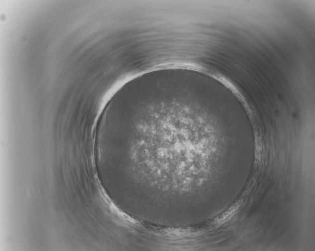 X0000056001102200508261743