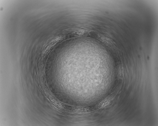 X0000056001105200508261742