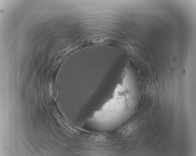 X0000056001106200508261742