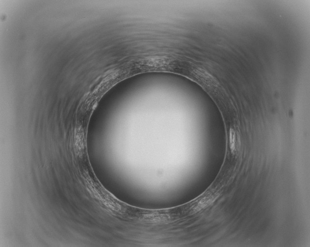 X0000056001107200508261742