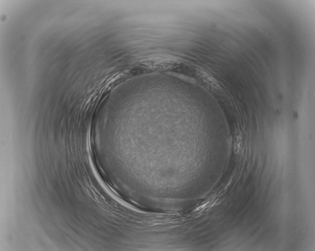 X0000056001108200508261742