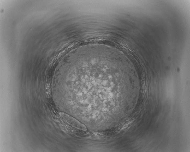 X0000056001109200508261742