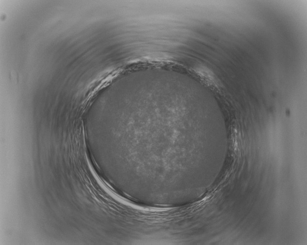 X0000056001110200508261743