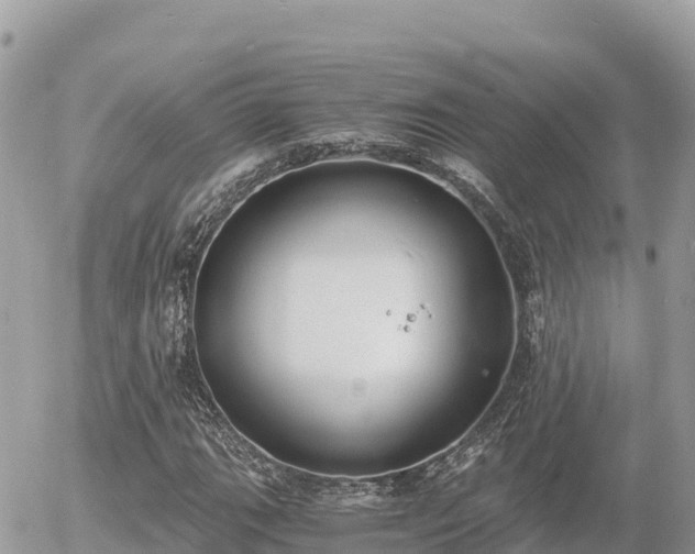 X0000056001111200508261743