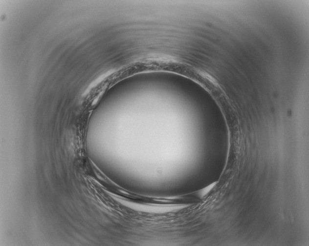 X0000056001112200508261743