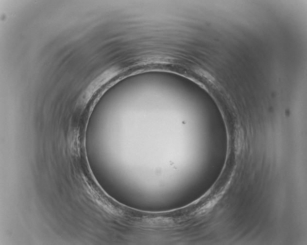 X0000056001113200508261743