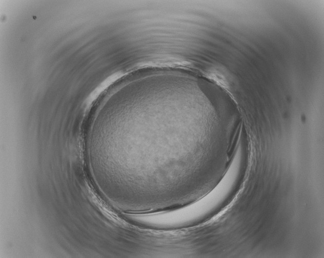 X0000056001114200508261743