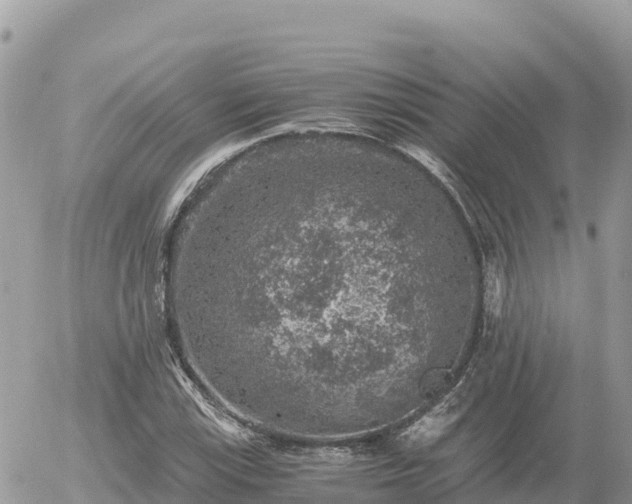 X0000056001115200508261743