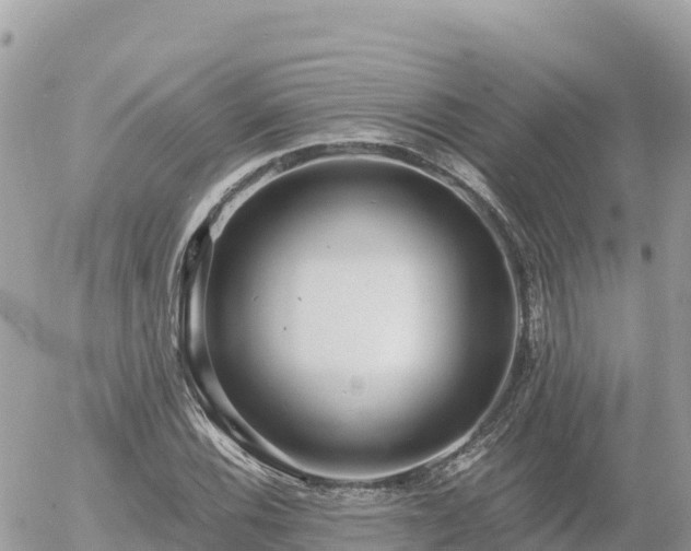 X0000056001116200508261743