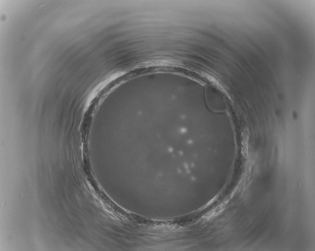 X0000056001117200508261743