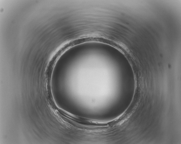 X0000056001118200508261743