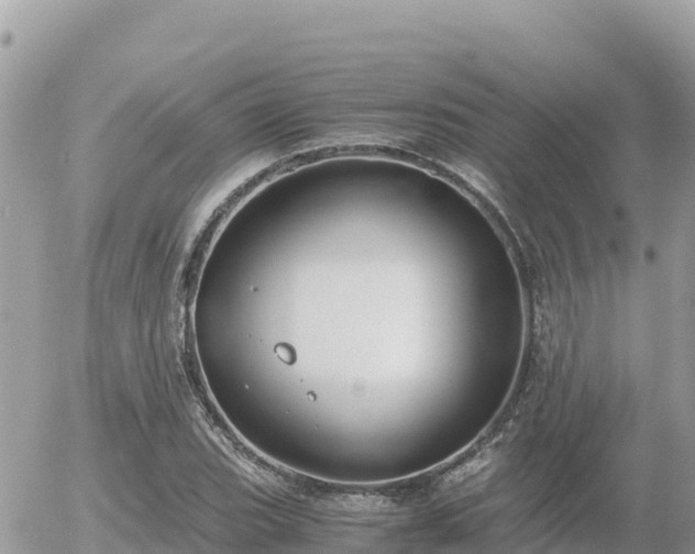 X0000056001119200508261743