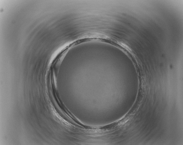 X0000056001120200508261743